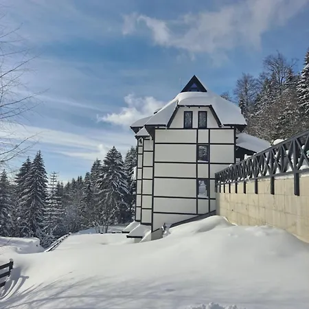 Apartman 11 * Kopaonik