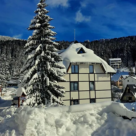 Apartman 11
